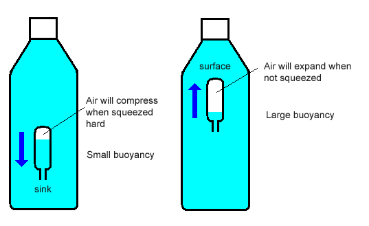 JSME FED:Activity:Enjoy Fluid Experiments Lab.:Cartesian Diver