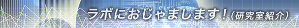 ラボにおじゃまします!(研究室紹介)