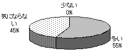 類似の講演会は？（図１０）