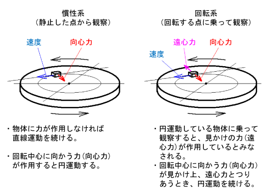 円盤翼