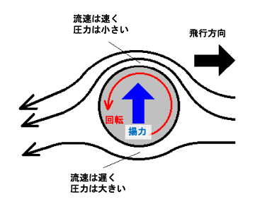 効果 マグヌス