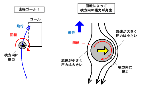 効果 マグヌス