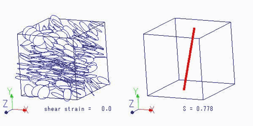 テキスト ボックス:      図４　せん断流れ中の円板状粒子の挙動のブラウン動力学シミュレーション  （動画 fig4.mpg）  